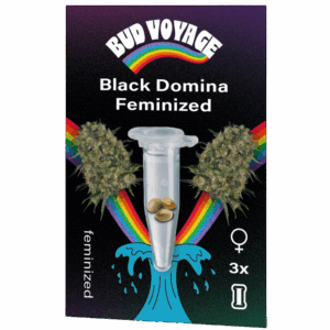 bud voyage budfruits black domina feminized