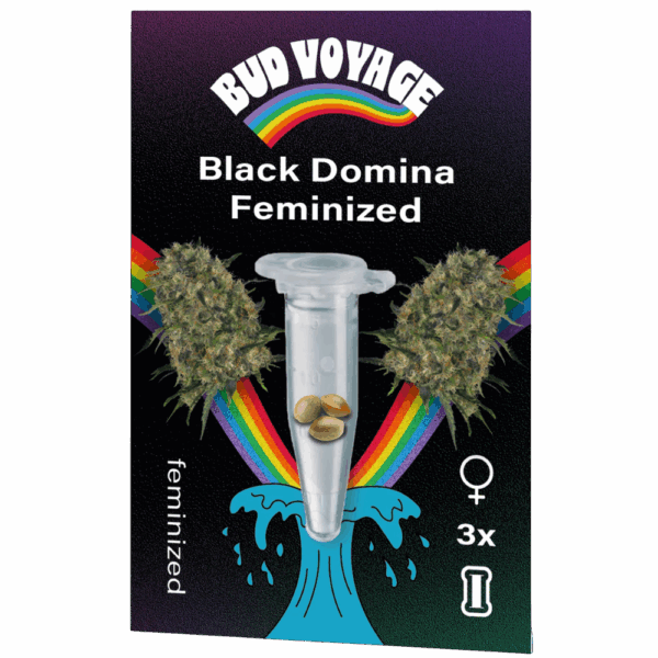 bud voyage budfruits black domina feminized