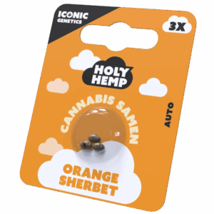 holy hemp orange sherbet budfruits