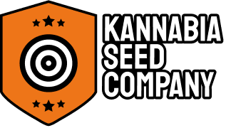kannabia seed company budfruits